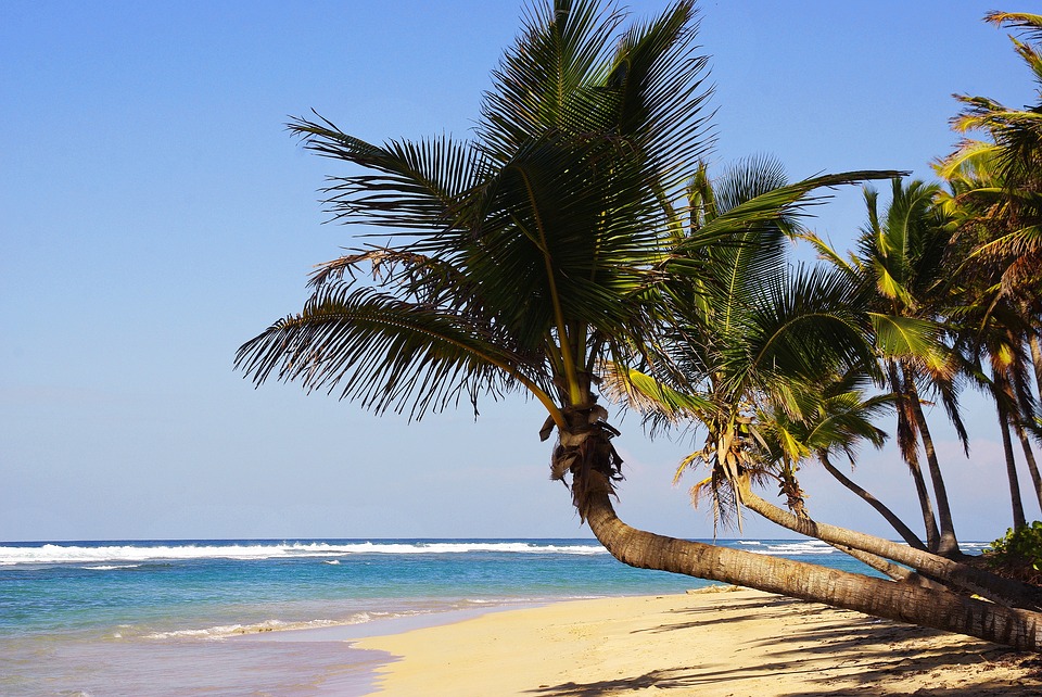 Esta imagen tiene el atributo alt vacío; su nombre de archivo es punta-cana-1.jpg